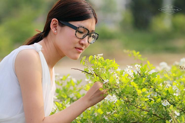 669.cg桃子移植黄油大全推荐界面