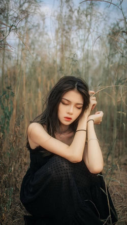 5g天天看天气奭网站主界面展示